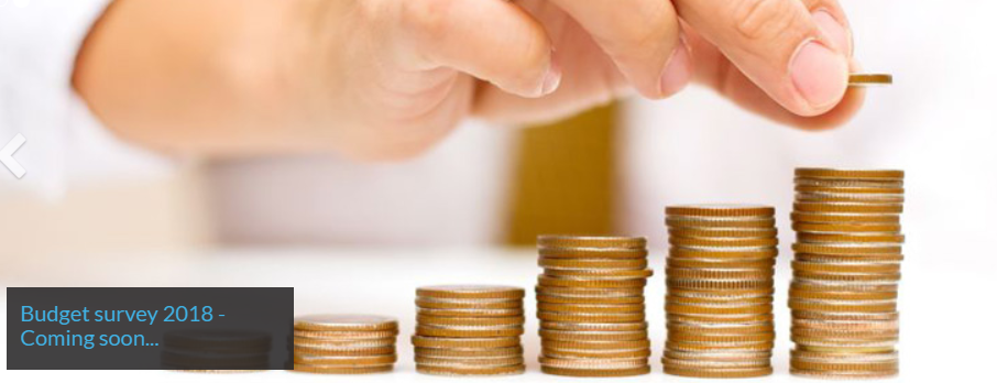 ADASS Budget Survey 2018