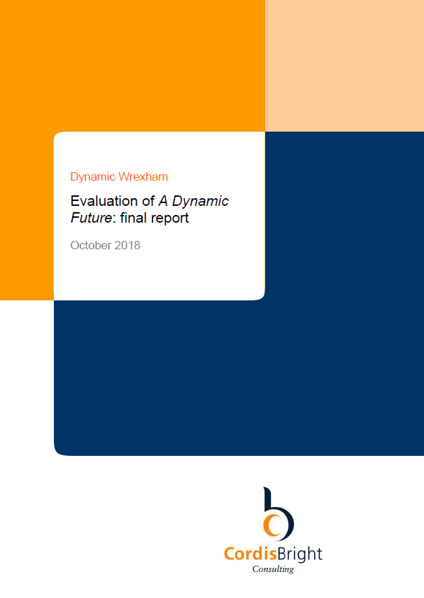 Evaluation of A Dynamic Future: final report