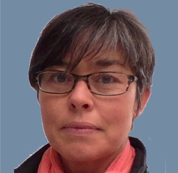 Using system mapping in children's services research