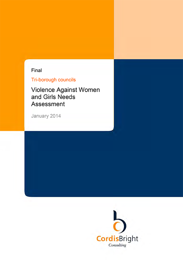 Violence Against Women and Girls Needs Assessment